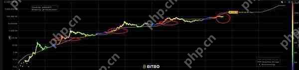 比特币价值趋势研究：四次减半中的价值演化密码